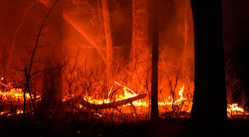 New Jersey Declares Emergency As Wildfire Consumes 11,500 Acres