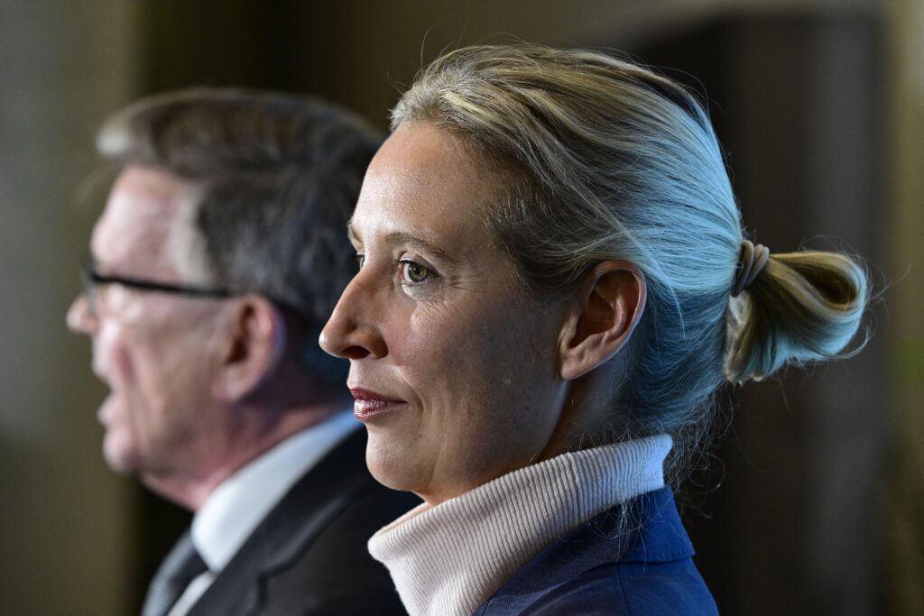 Germany's domestic intelligence labels right-wing AfD party as extremist