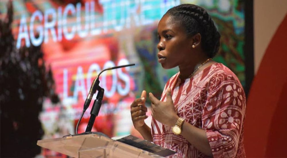 Lagos Food Demand Will Rise To N7.96tn Yearly By 2030 – Commissioner