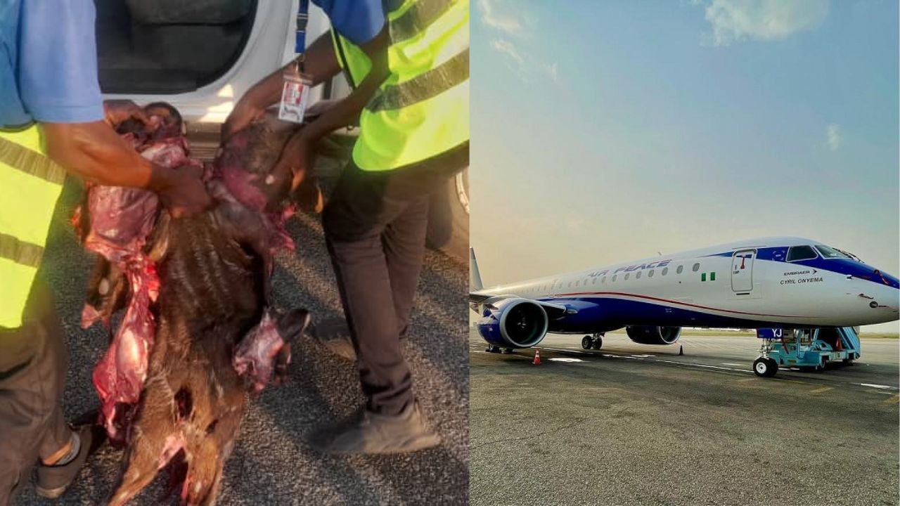 Air Peace Grounds Aircraft After Running Into Antelope