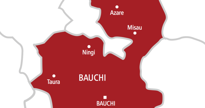 NGO Partners Bauchi Govt On Child Birth Spacing
