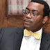 AfDB President Akinwunmi Adesina Speaks Like A Politician Not Economist..Presidency