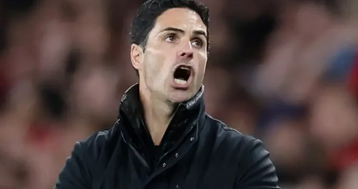 Arteta reacts as Tottenham defeat Man Utd in Europa League final