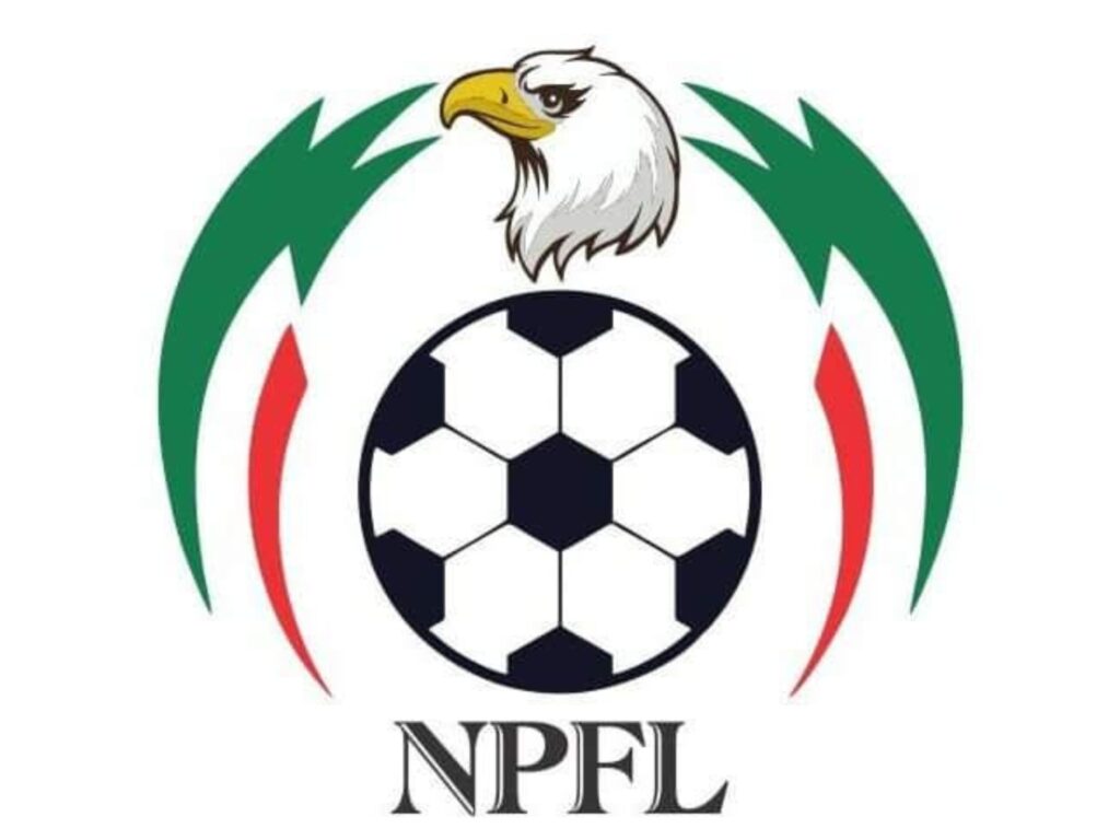 NPFL: Okoko targets relegation survival with Katsina United