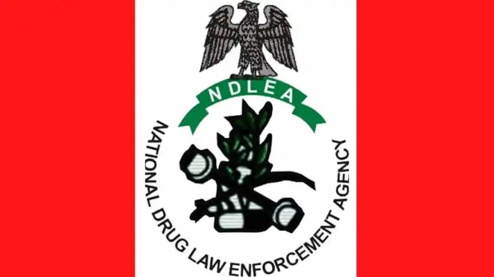 NDLEA Dismantles N3.4bn Drug Network In Nationwide Crackdown