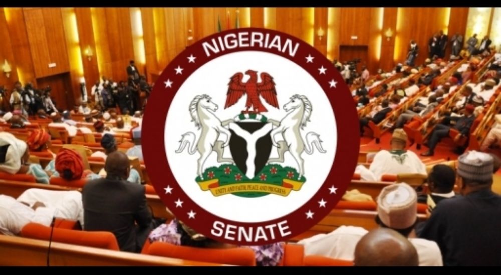 Senate Passes Two Out Of Tinubu’s Tax Reform Bills, Rejects VAT Increase