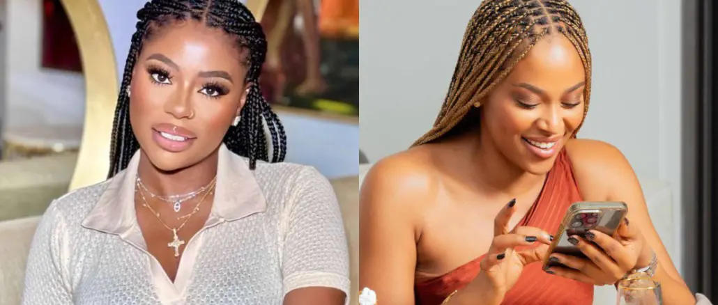 Sophia Momodu unfollows Amanda Brown for celebrating daughter’s birthday with Davido