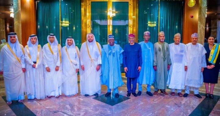 Tinubu Welcomes New Qatari Investment Initiatives In Agric