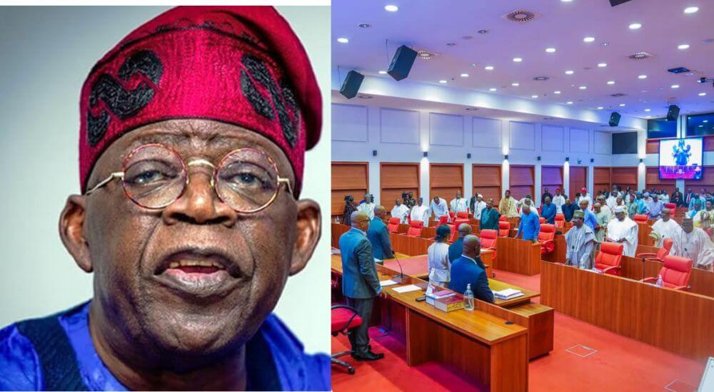 Timi Frank Slams Senate Minority Caucus For Failing To Stand With Dickson On Rivers Crisis