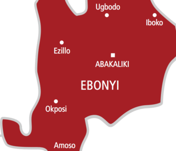 MSF Joins Fight Against Lassa Fever In Ebonyi