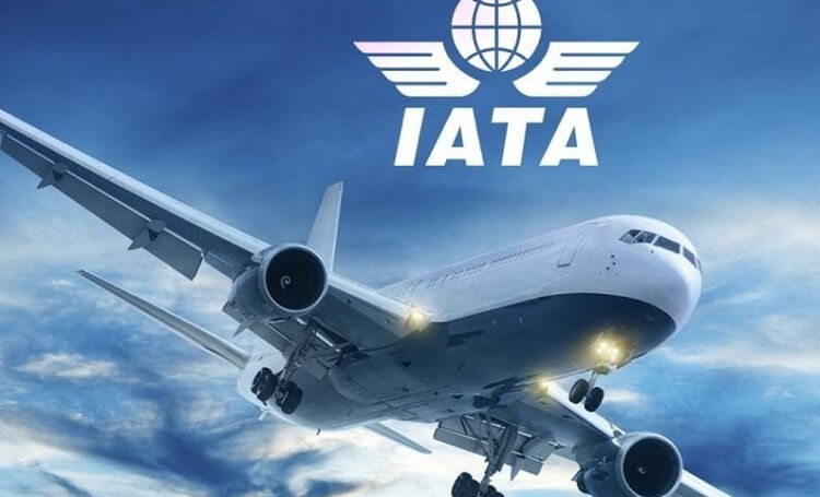 High Costs, FX Constraints Limit Growth Of African Airlines, Says IATA