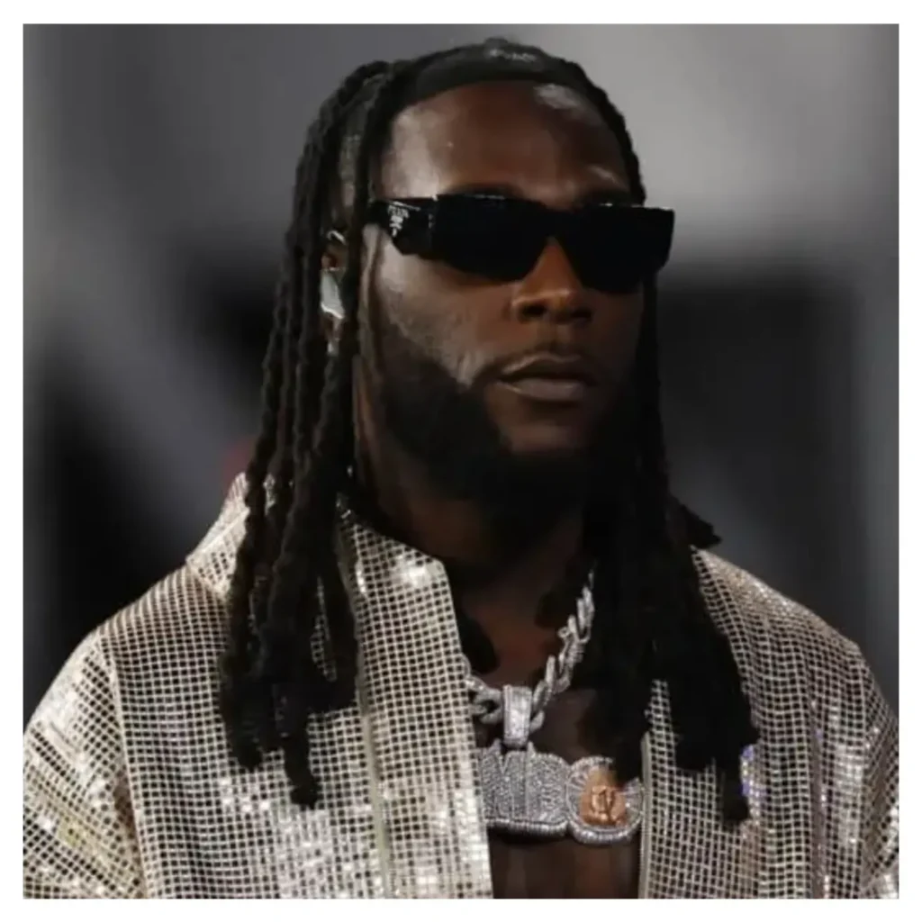I’ve persevered despite having reasons to give up – Burna Boy