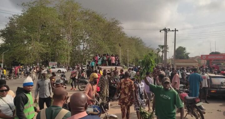 Stay Away from June 12 Protest, Ohanaeze Faction Tells Ndigbo