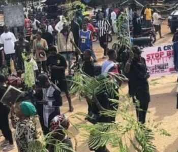 Manage Your Anger And Frustration, Tinubu Tells Benue Residents