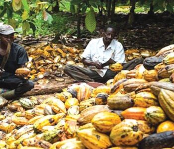 Chamber, Partners To Invest Over $300m In Nigeria’s Agric Sector