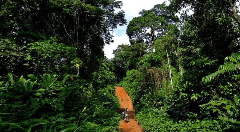 Sokoto Urges Caution On Forest Guards Deployment