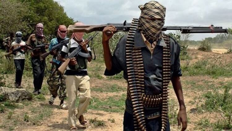 B/Haram Survivors Still Neglected, Says Amnesty International