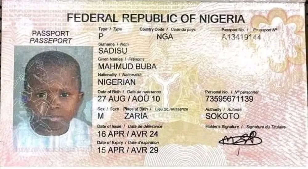 How 15-Year-Old Nearly Made It To National Assembly
