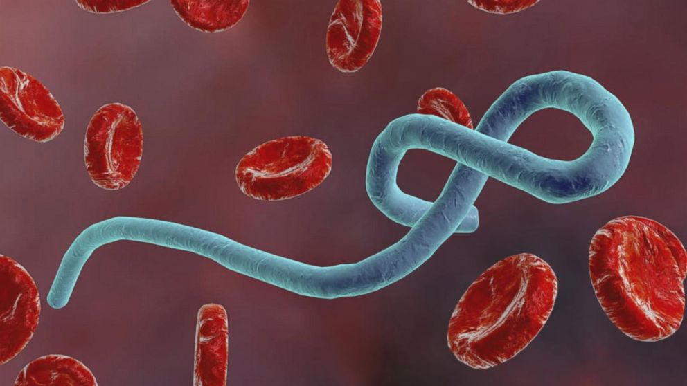 Ebola: PSN orders pharmacies to activate emergency surveillance Ebola: PSN orders pharmacies to activate emergency surveillance