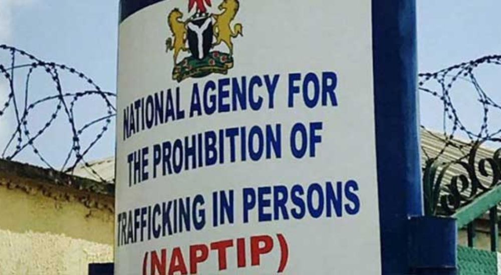 Kano, NAPTIP Uncover Child Trafficking, Illegal Adoption Ring