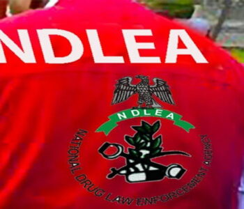 NDLEA raids Kano drug joints, arrests six