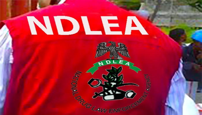 NDLEA raids Kano drug joints, arrests six