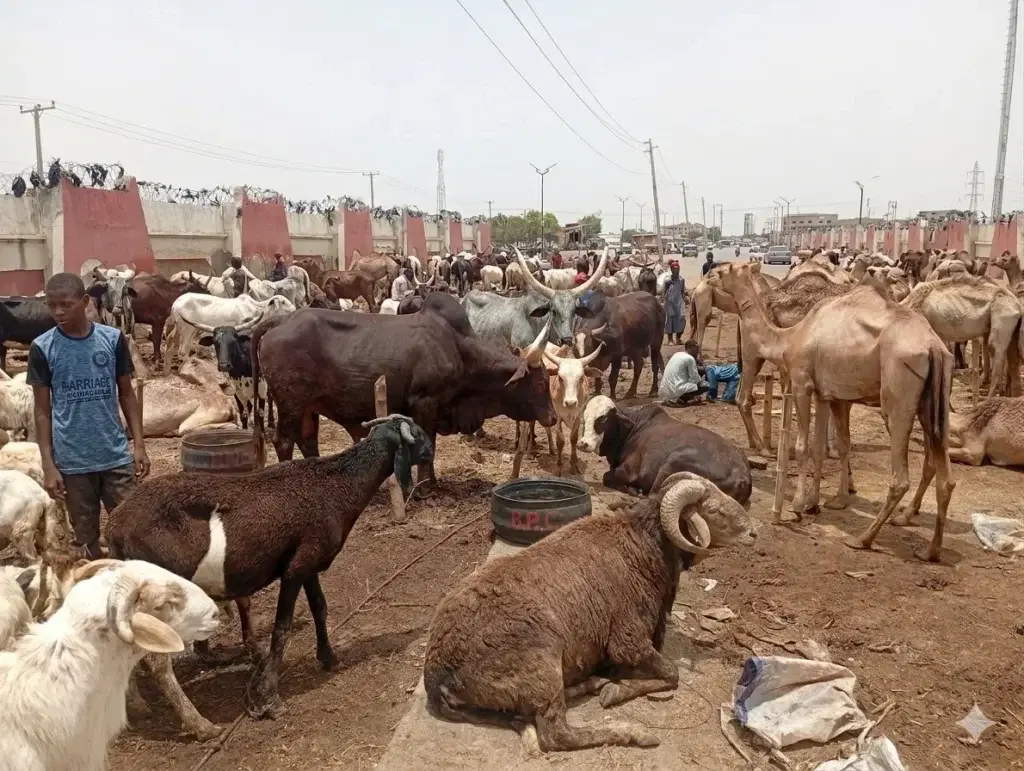 10 popular foods Nigerians enjoy during Sallah