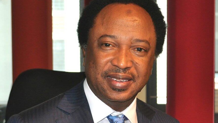 APC Consensus For Shehu Sani Divides Kaduna Stakeholders