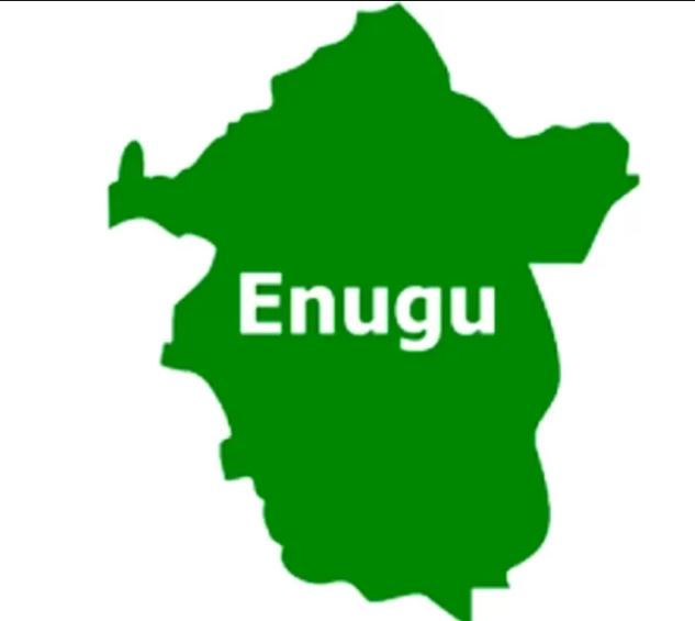 Enugu 2027: Nnamani defeats Tinubu’s ex-minister in PDP guber primary