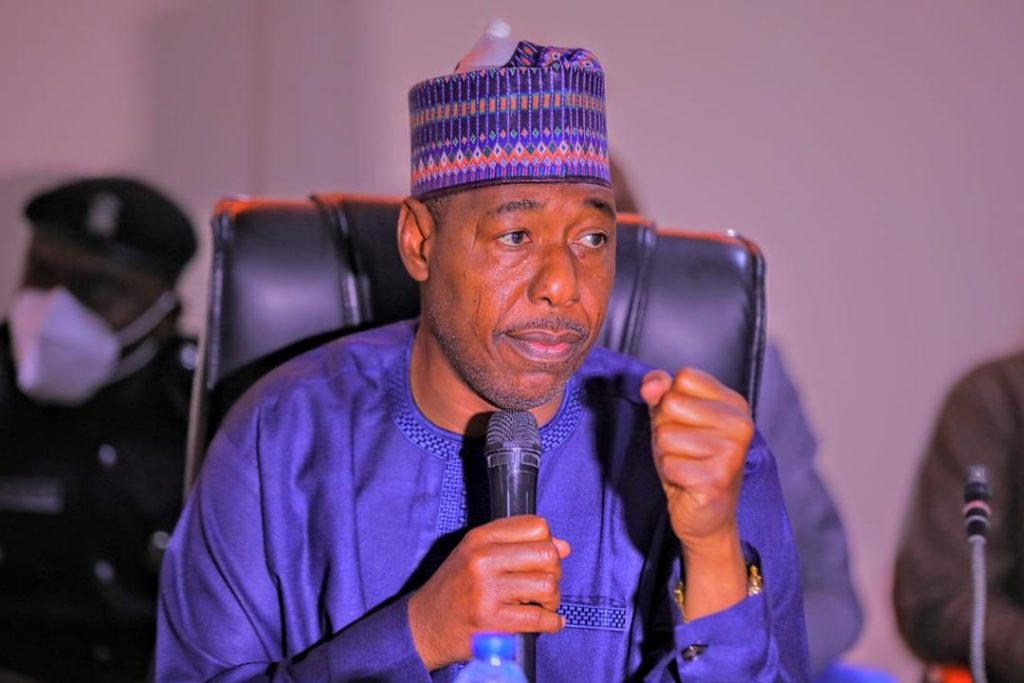 Gov. Zulum’s brother wins APC reps ticket