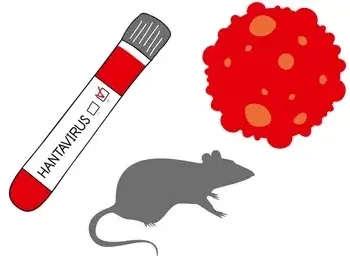 10 things to know about Hantavirus