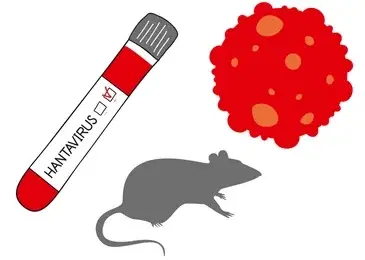 10 things to know about Hantavirus