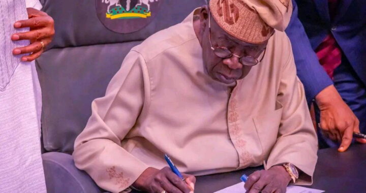 State Police Bill: How NASS caged governors