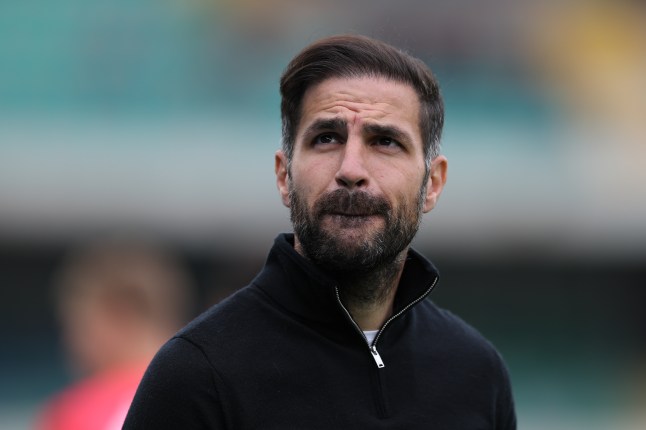 Cesc Fabregas eyes ambitious transfer move for Chelsea star