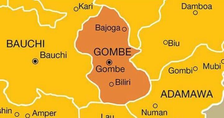 APC Sweeps All Chairmanship Seats In Gombe LG Elections