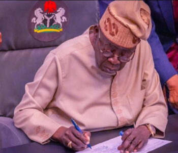 Tinubu approves 1,000 forest guards to strengthen security in Katsina