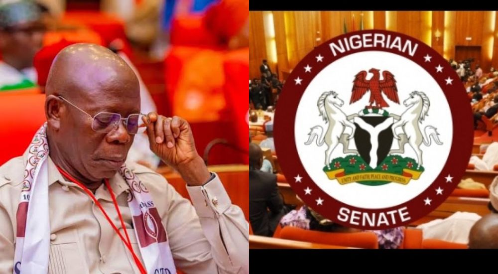 Senate Confirms Tinubu’s Nominee Amid Sexual Harassment Allegations