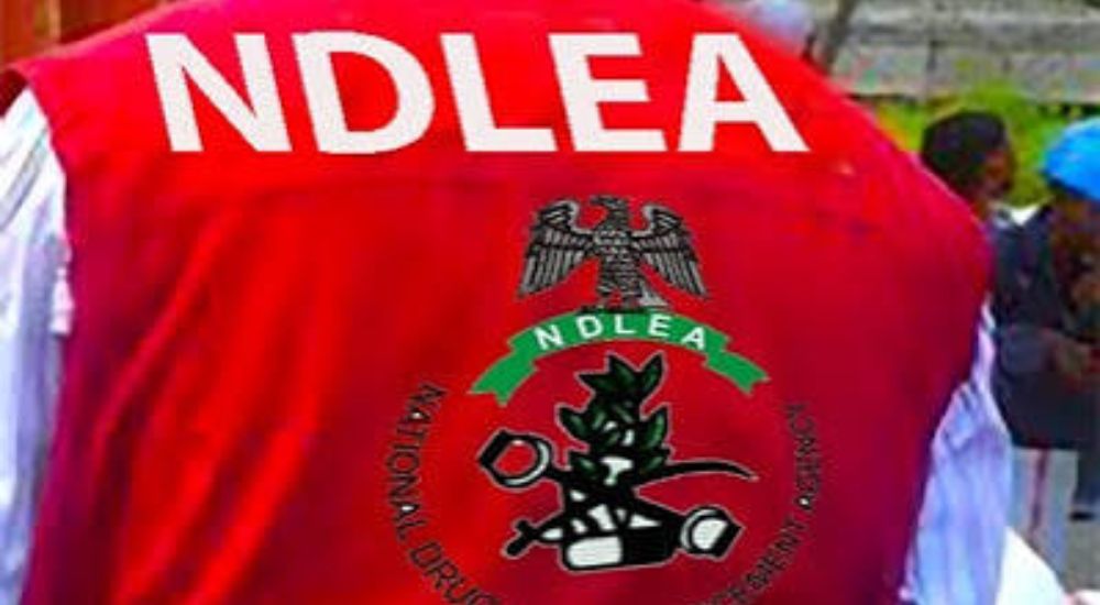 NDLEA Arraigns Drug Baron, Three Mexicans Over N480bn Ogun MethLab