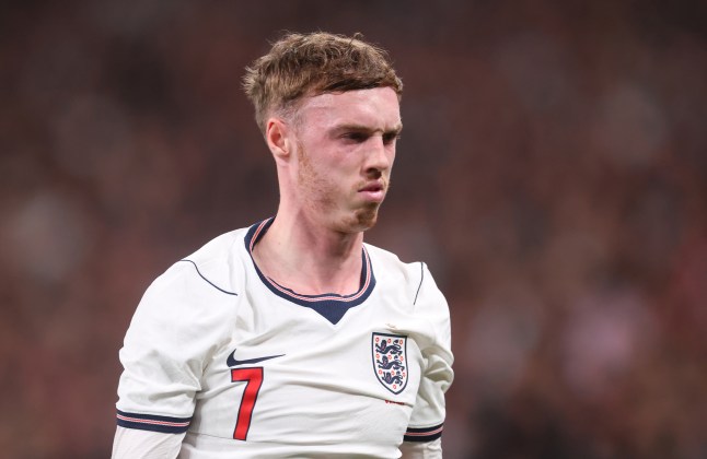 ‘I don’t understand’ – Alan Shearer questions Cole Palmer’s withdrawal from England squad ‘I don’t understand’ – Alan Shearer questions Cole Palmer’s withdrawal from England squad
