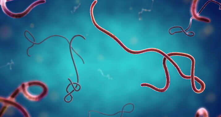 Nigeria’s first Ebola case ‘highly similar’ to Kenyan one – Minister