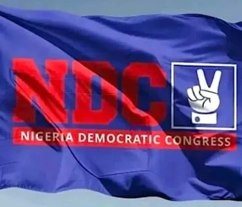 NDC fixes October 26 for 3rd NEC meeting, campaign council unveiling
